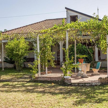 Villa Oidor - Cilento 阿谢亚 外观 照片